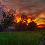 Simply Bali (6 Night/7 Day)